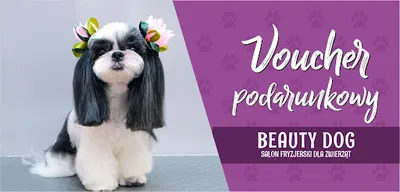 Fryzjer dla zwierzat Beauty Dog